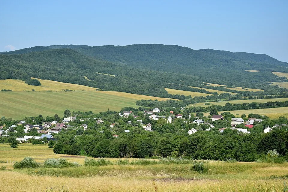 Makovica