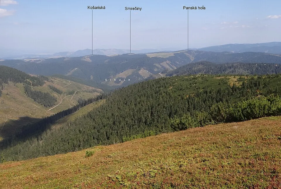 Smrečiny