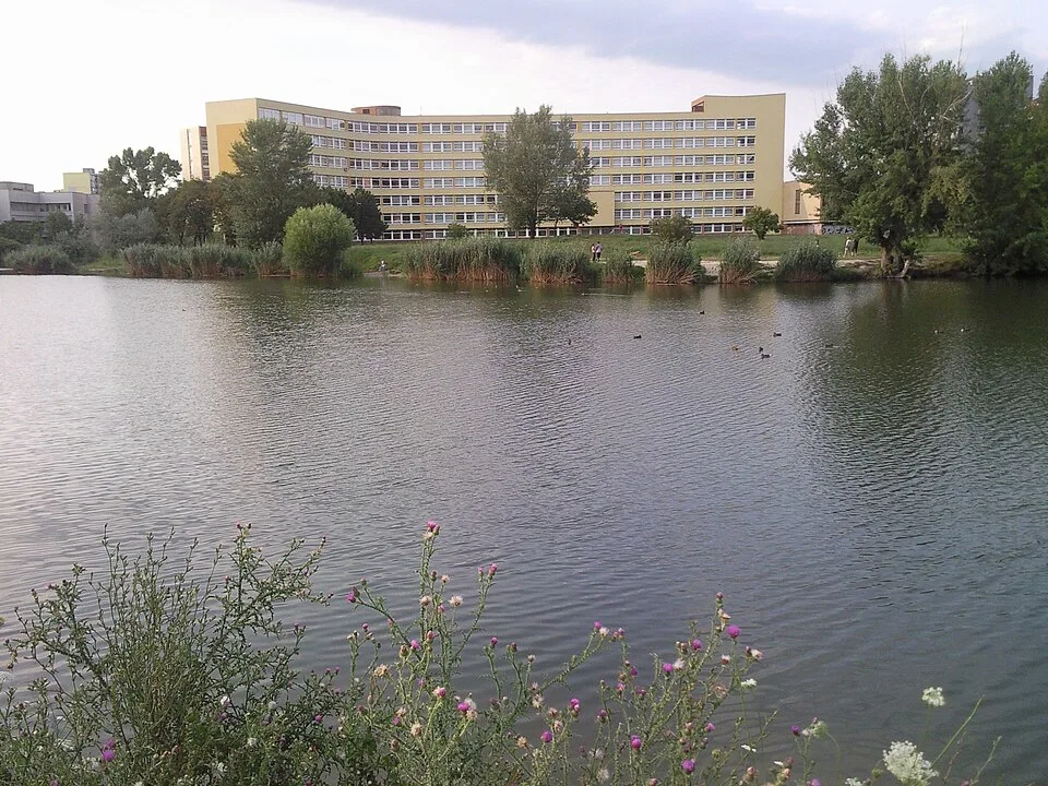 Ružinovské jazero