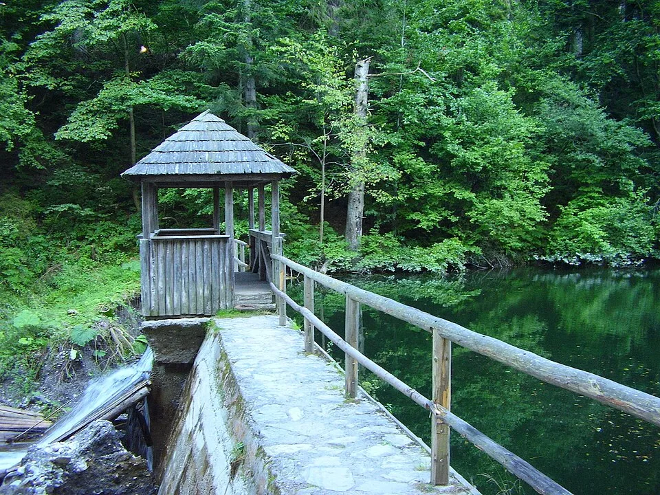 Klauzy