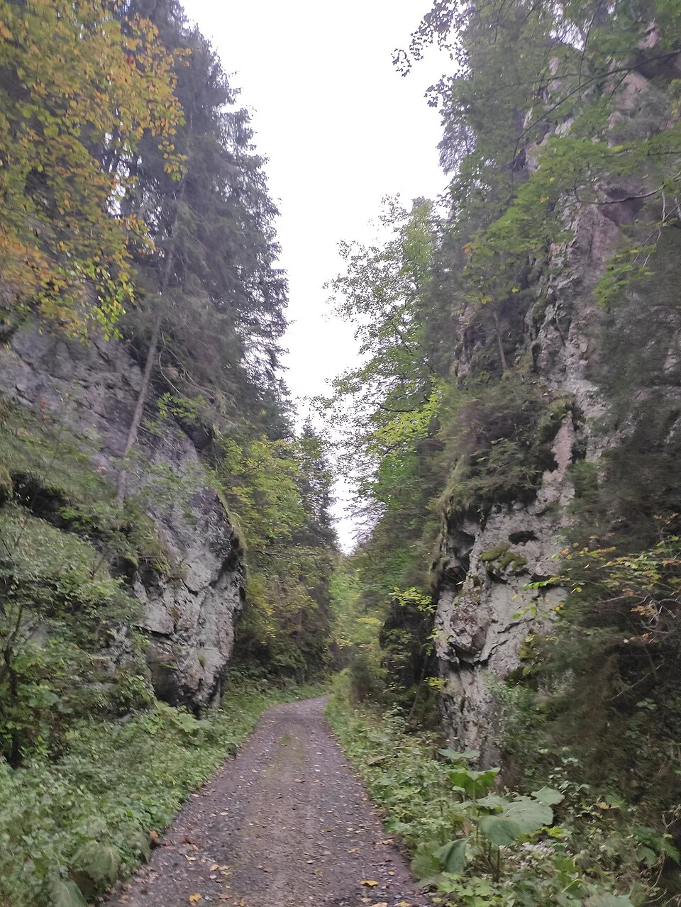 Iľanovská dolina