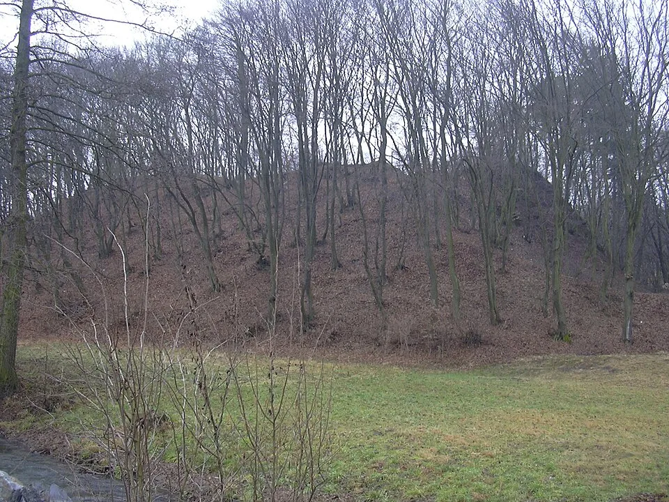 Dědice