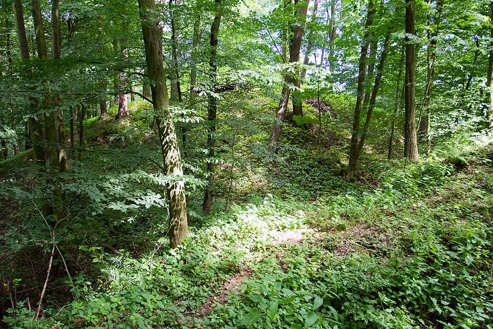 Čejchanův Hrádek