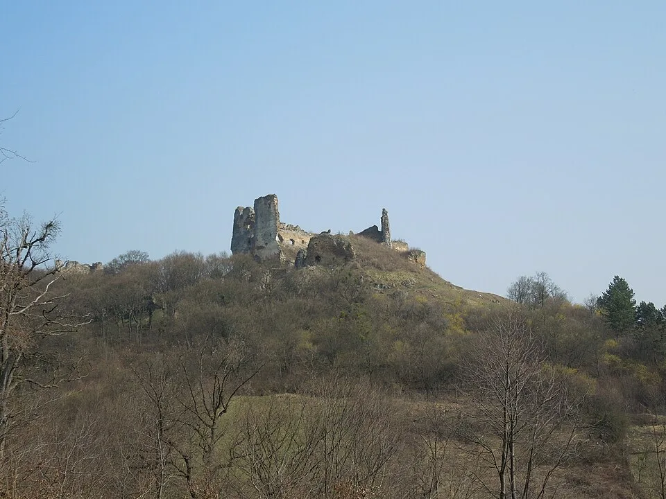 Čičava