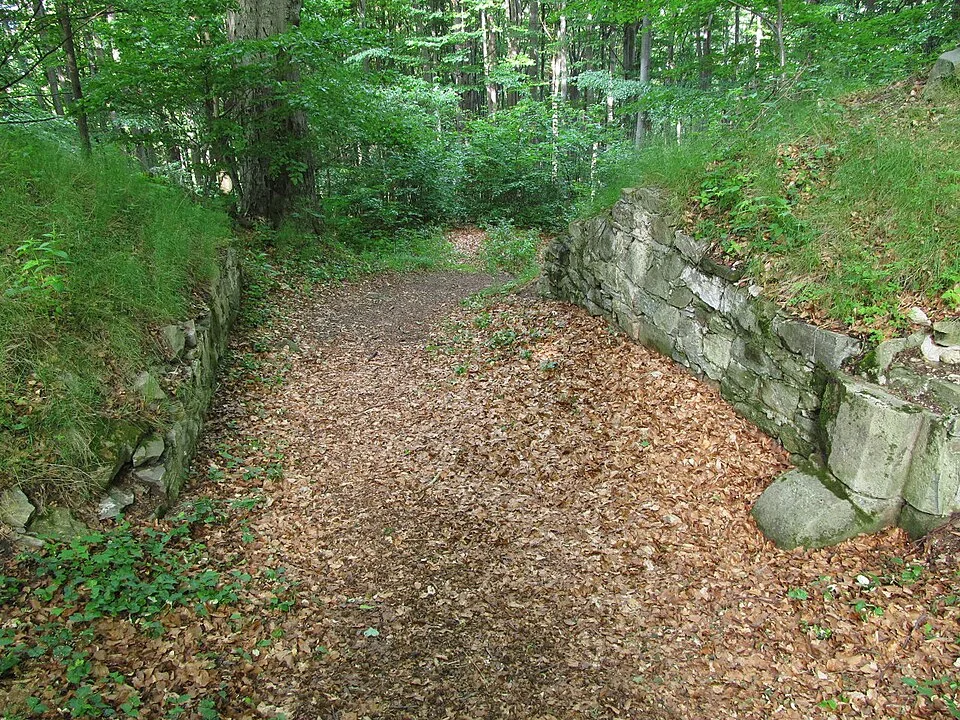 Křídlo