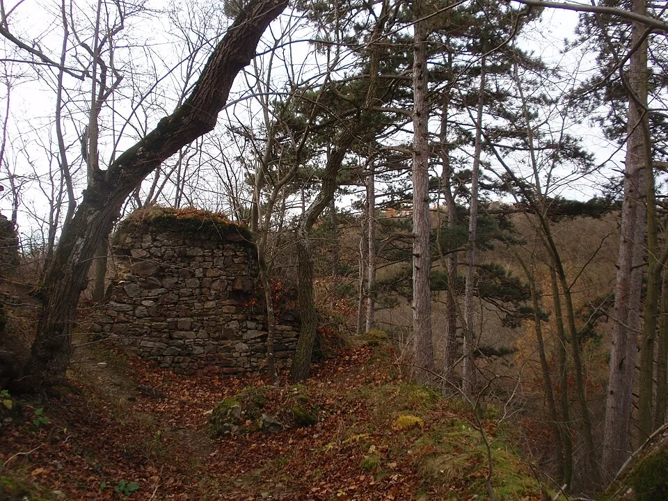 Lapikus