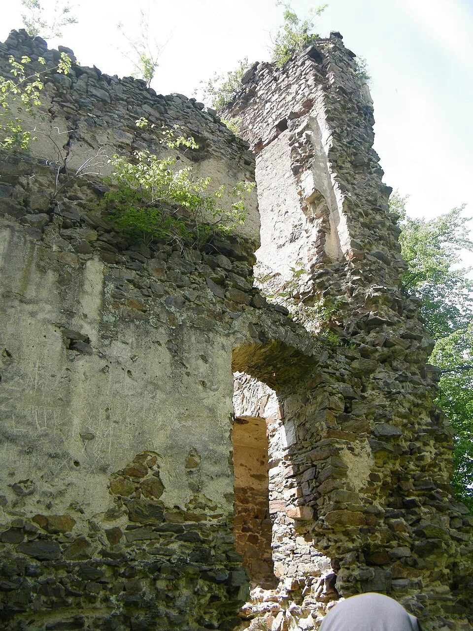 Ronov Castle