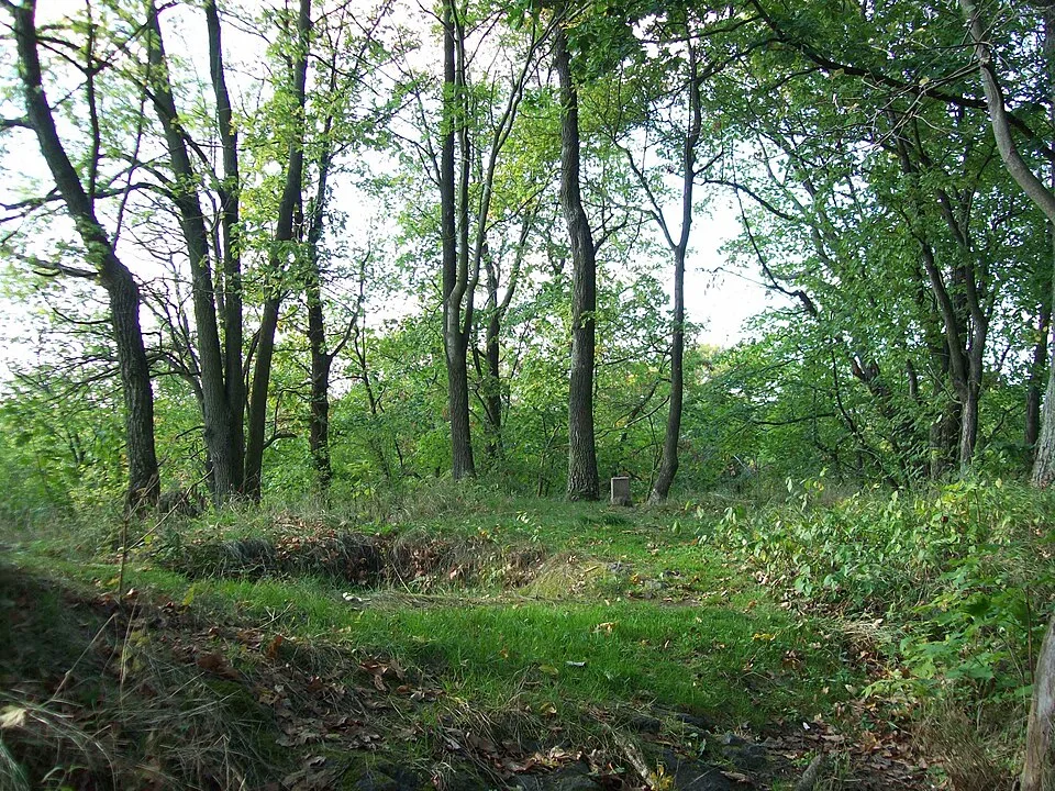 Řebřík Castle