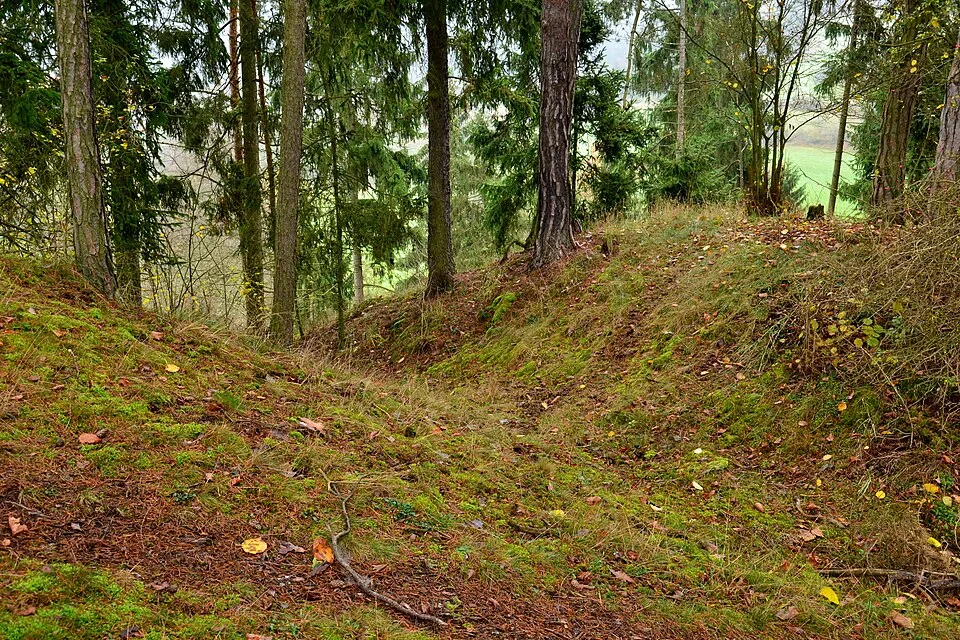 Brdo Castle