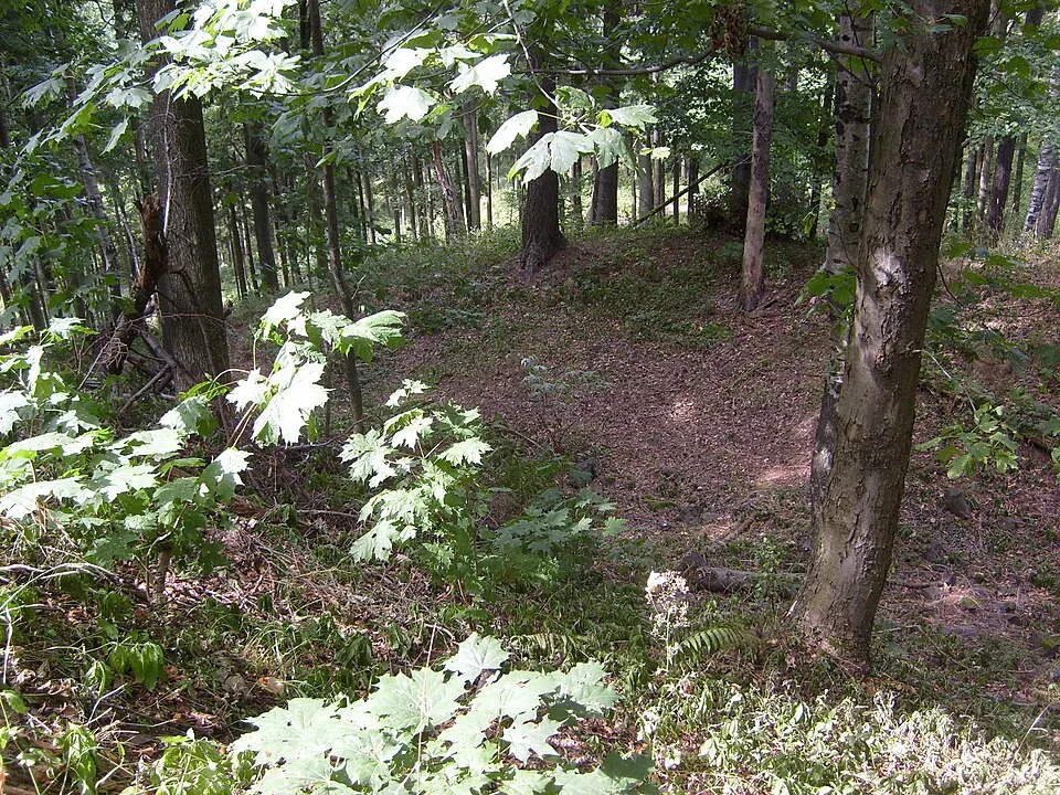 Kozlov (castle ruin, Cidlinský hřeben)