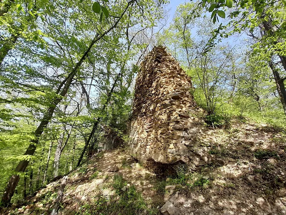 Burg Šenkenberk