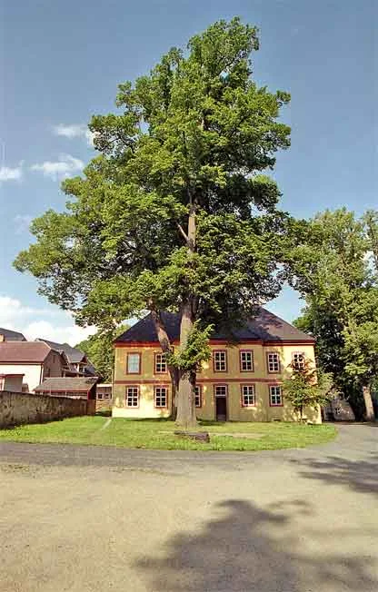 Castello di Pohled