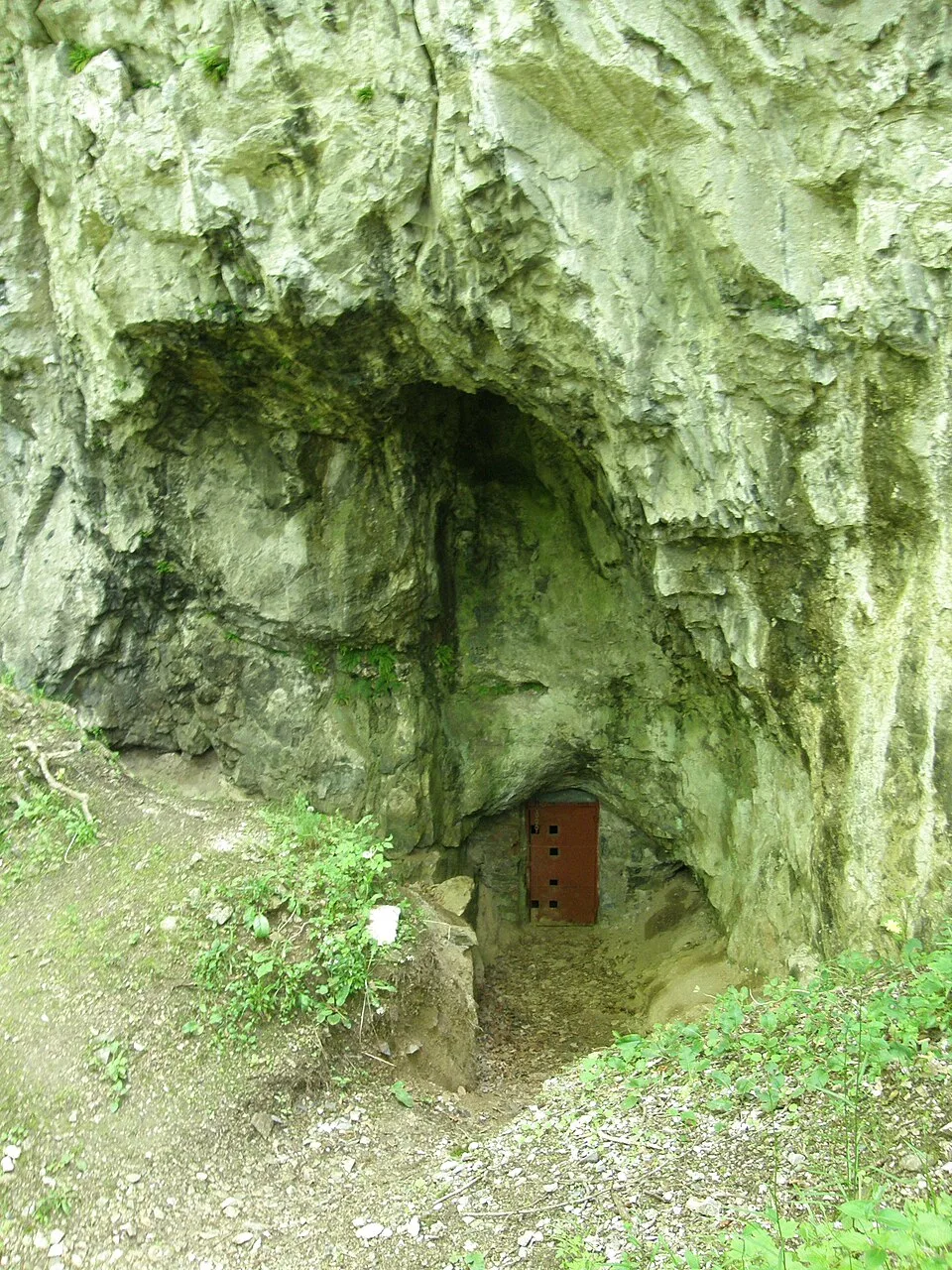 Sobolova