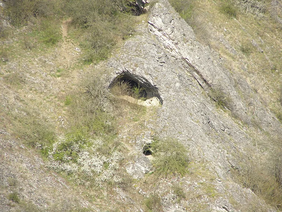 Korálové jeskyně