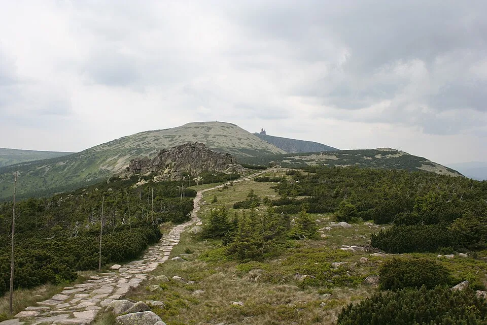 Wielki Szyszak