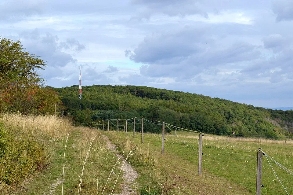 Přední kout