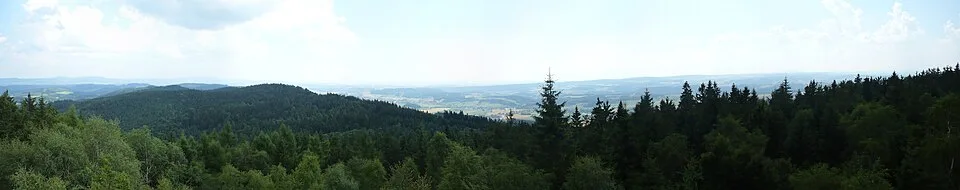 Žaltman