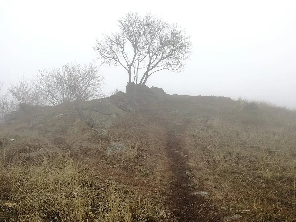 Lysá hora