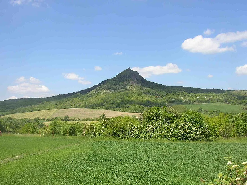 Košťál