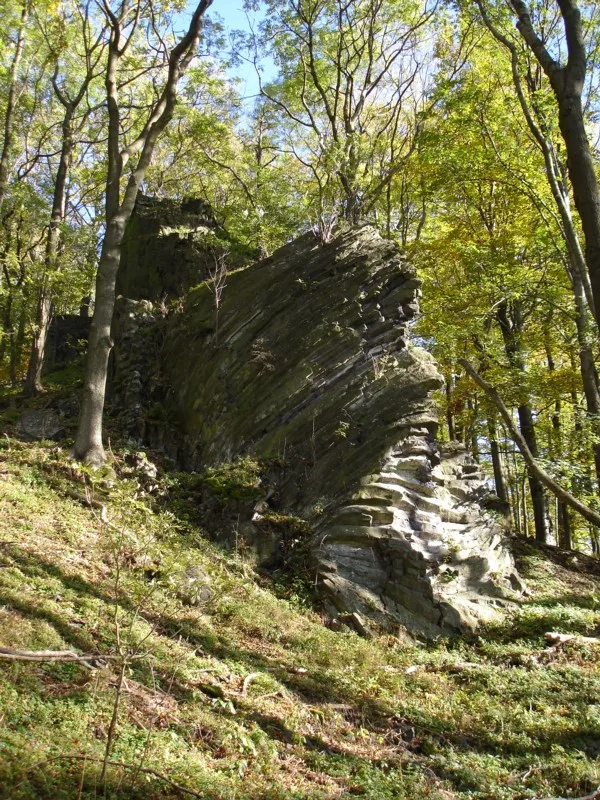 Slavíček