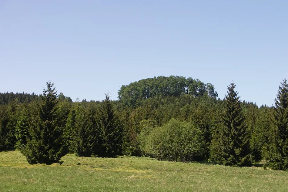 Stožec