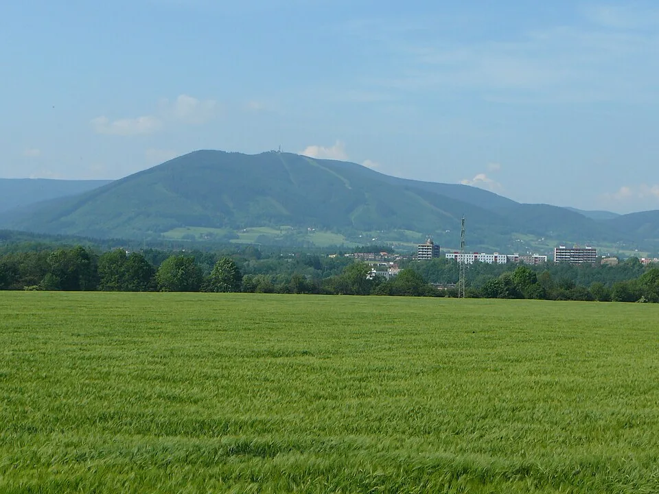 Javorový