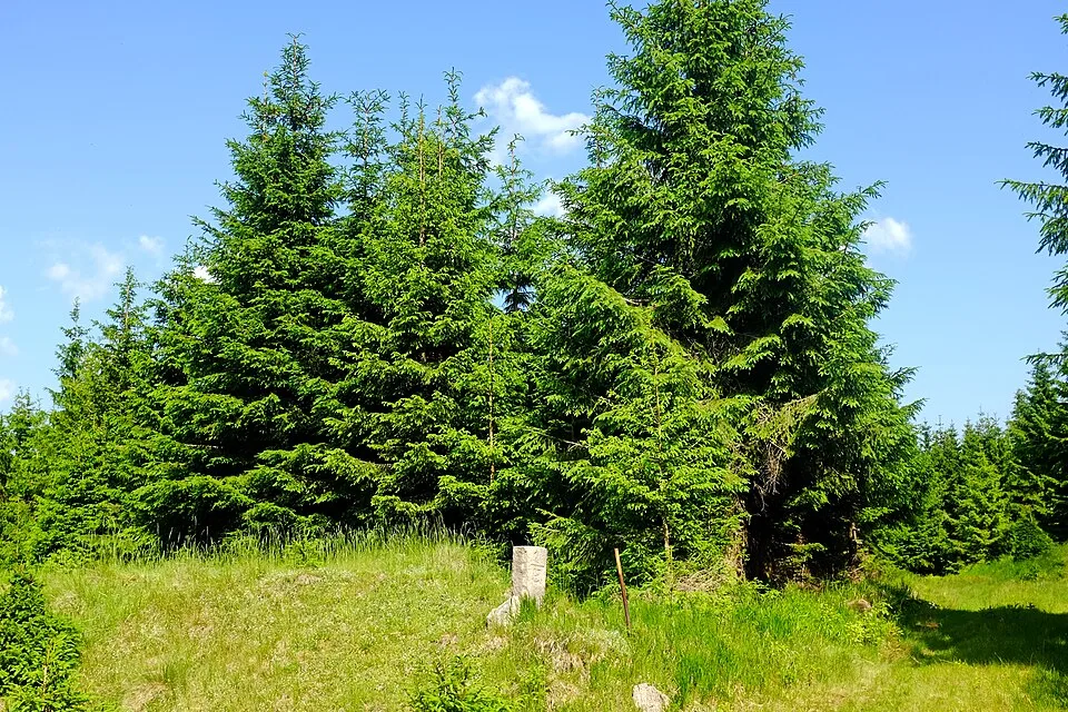 Zaječí vrch