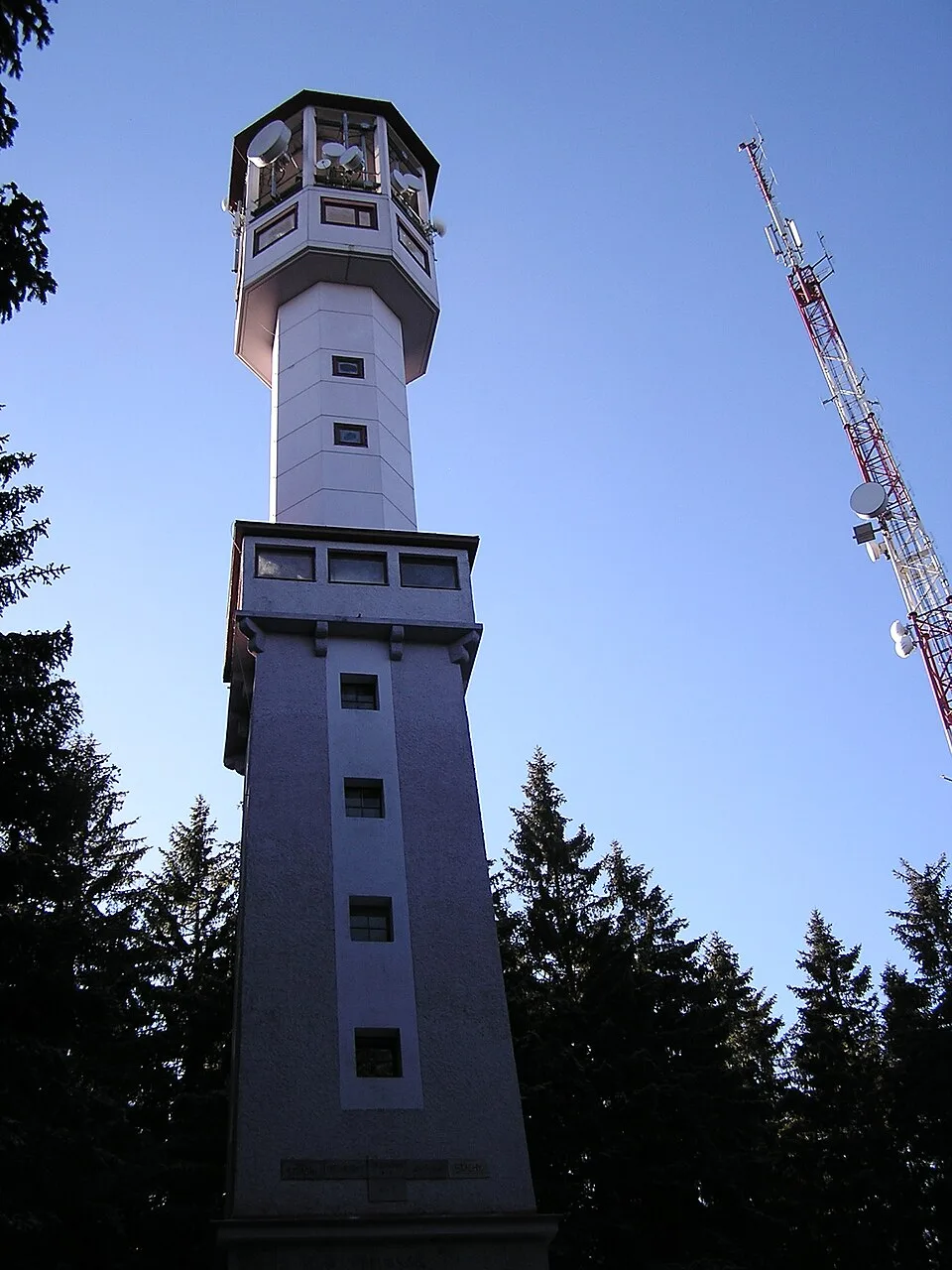 Javorník