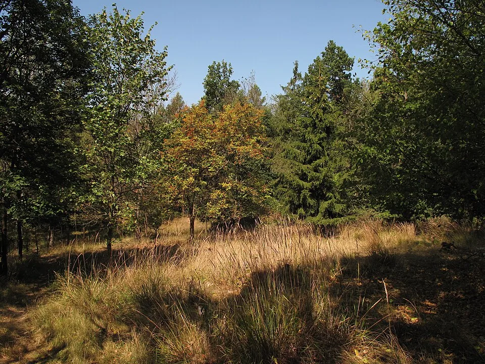 Hradišťský vrch