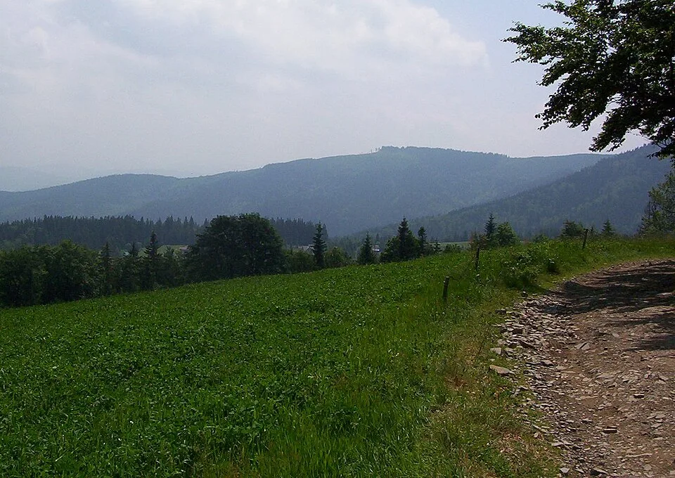 Kiczory (Schlesische Beskiden)