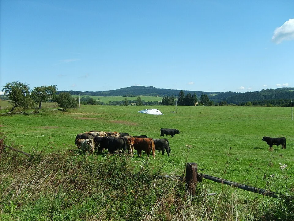 Podhorni vrch