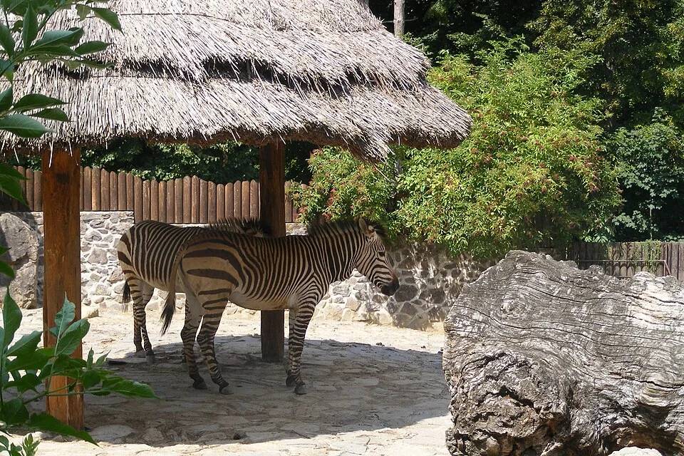Bojnice Zoo