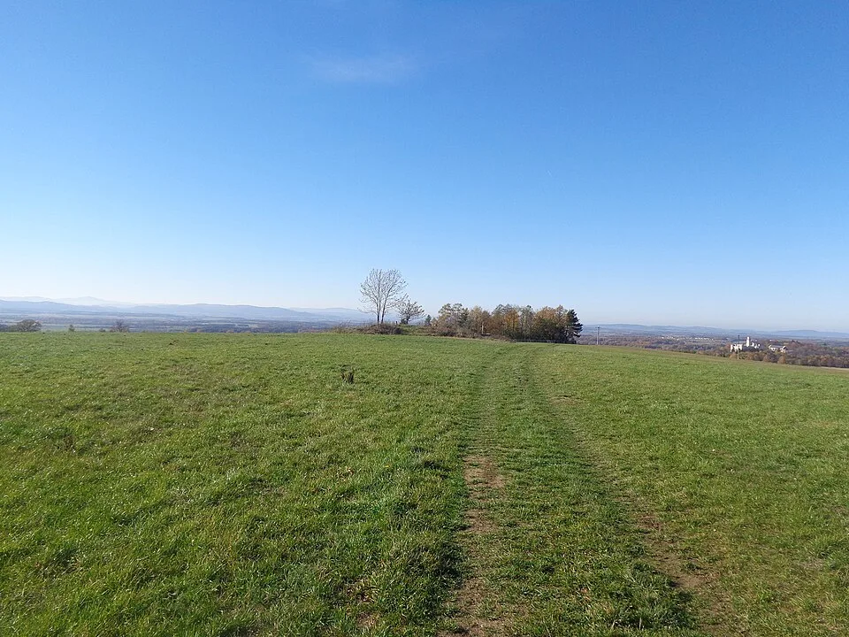 Račice