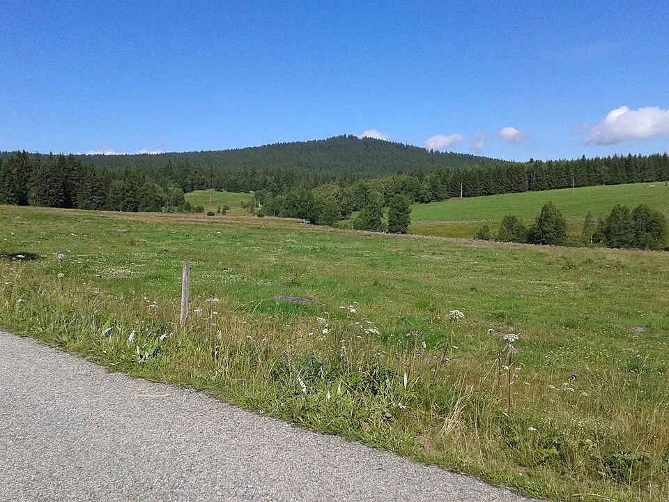 Tetřev