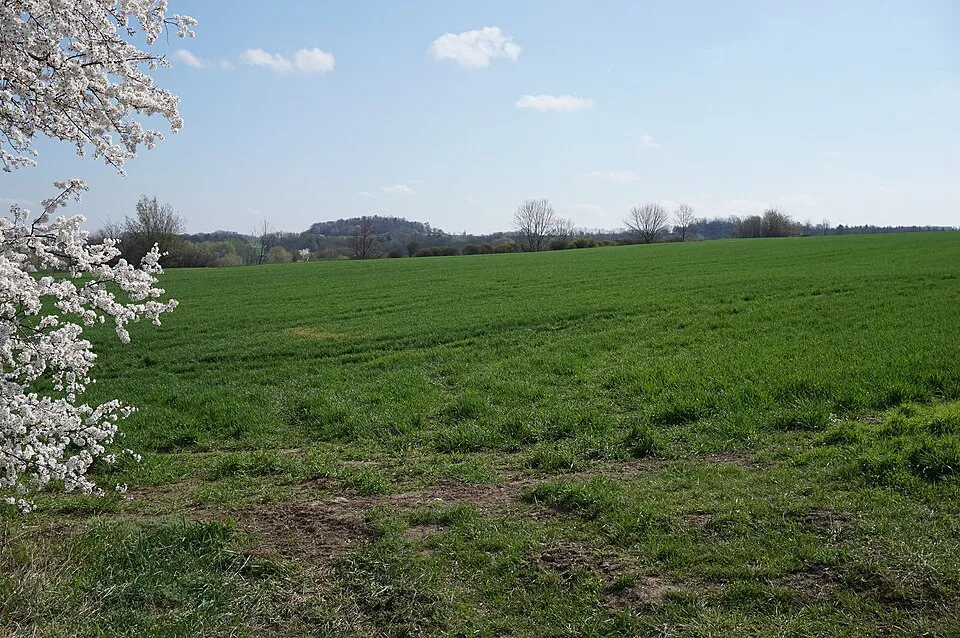 Makotřasy