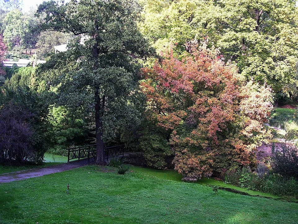 Malešice botanical garden