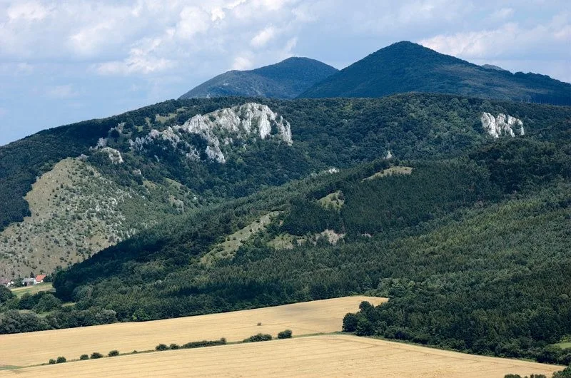 Záruby