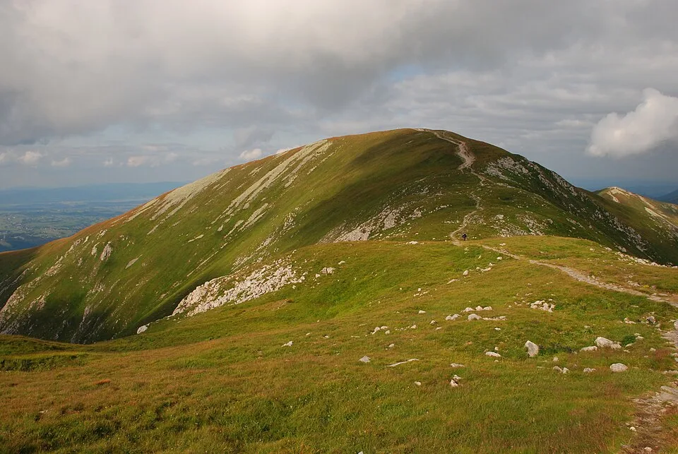 Malolučniak