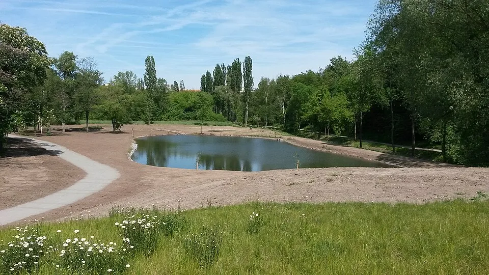 Polifka Pond