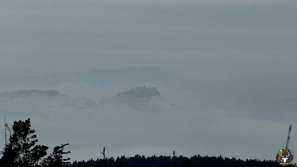 Smrekovica
