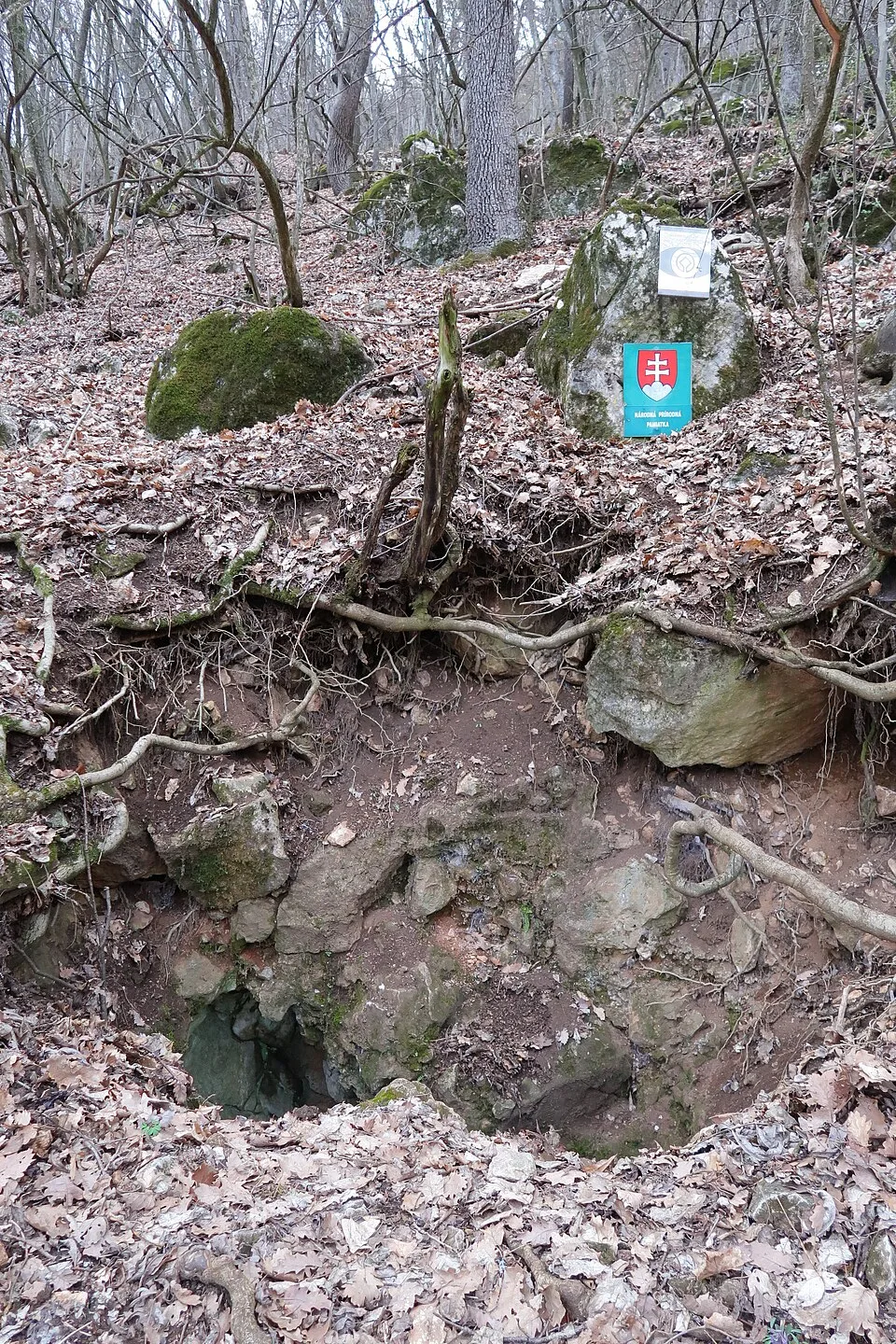 Hrušovská jaskyňa