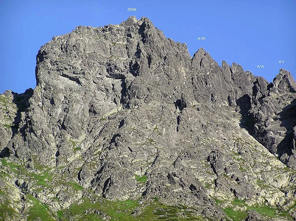 Kleine Froschspitze
