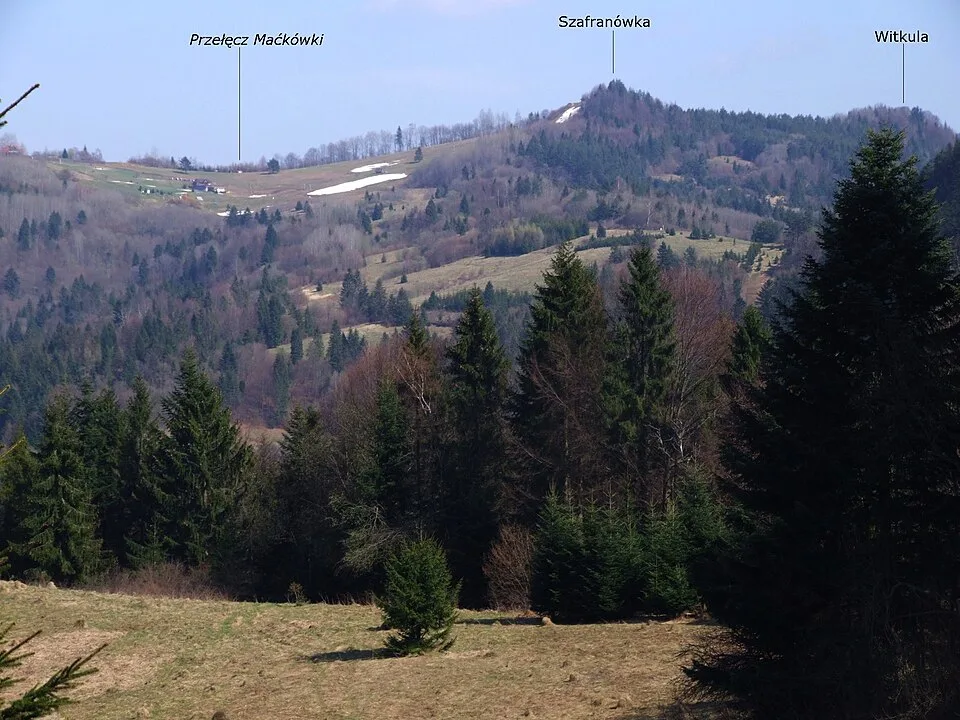 Vitkuľa