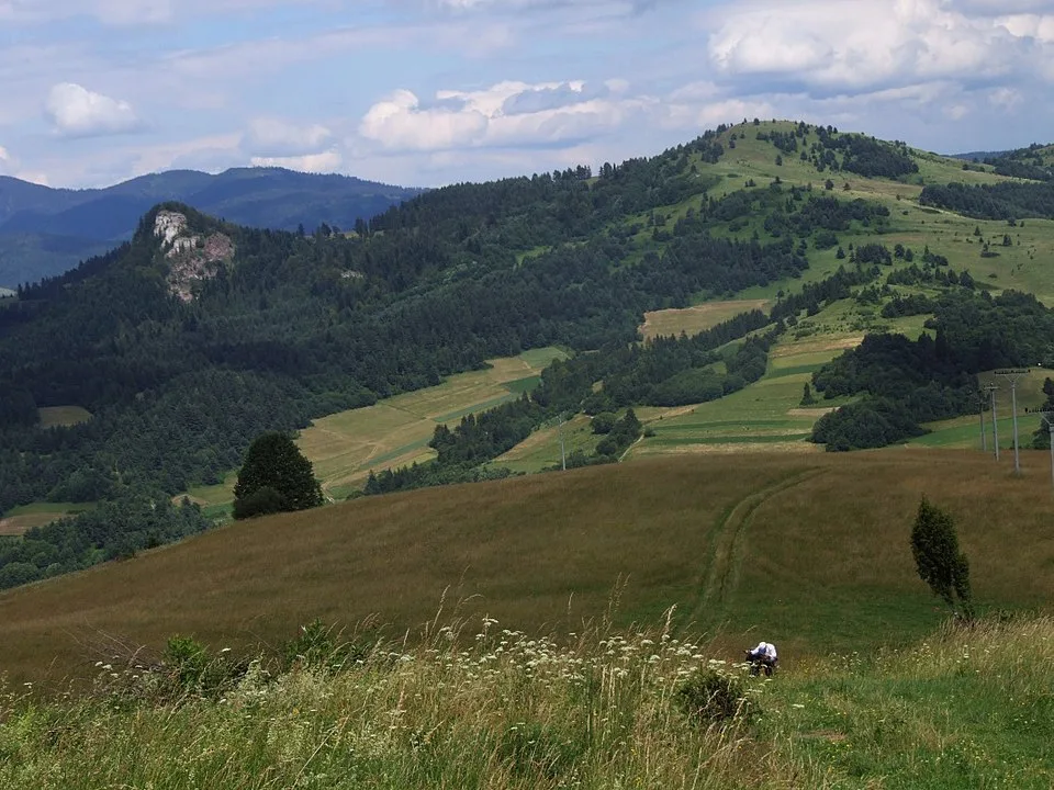 Šľachovky
