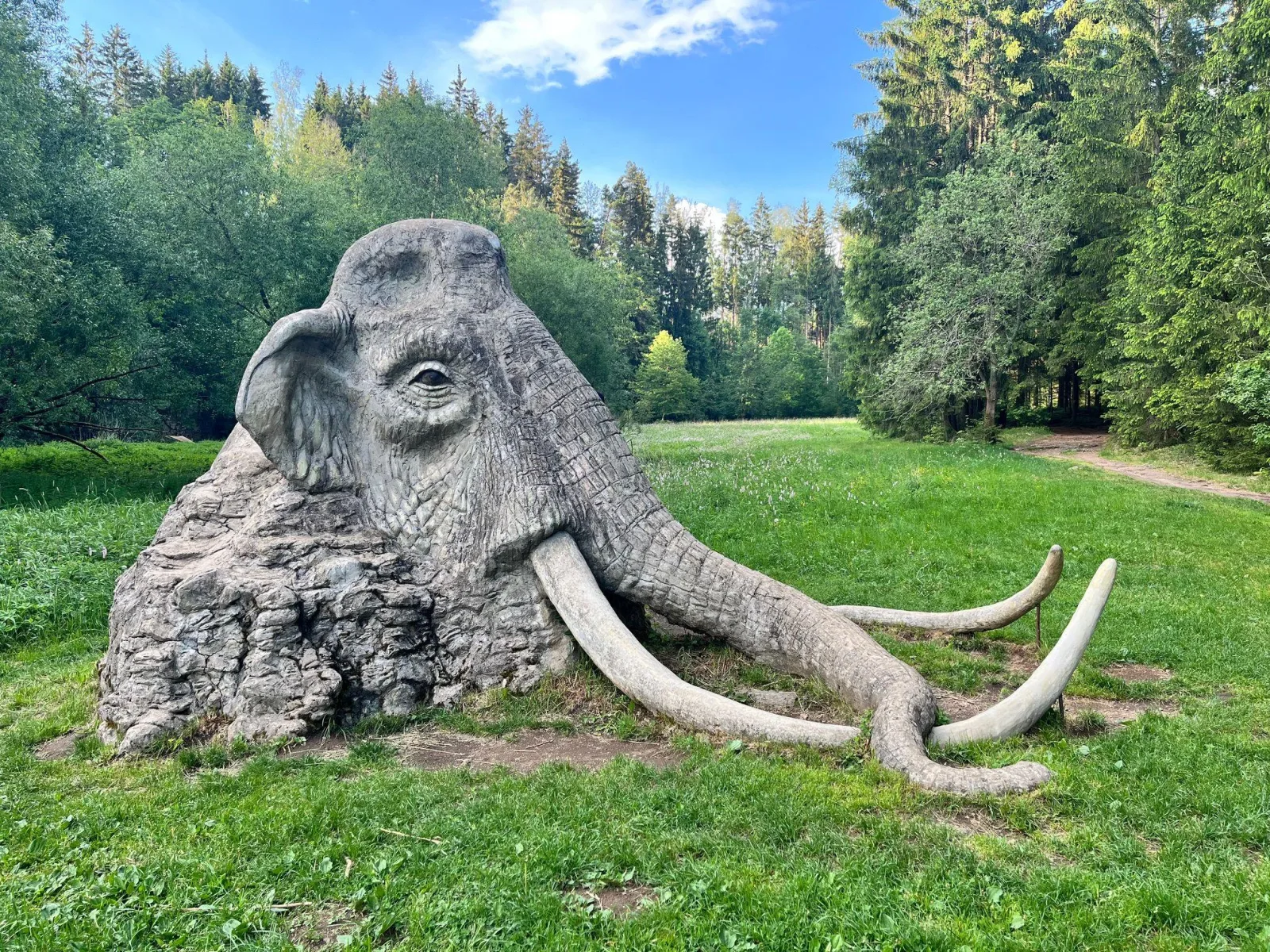 Ubytování Chlubnovi — photo 3