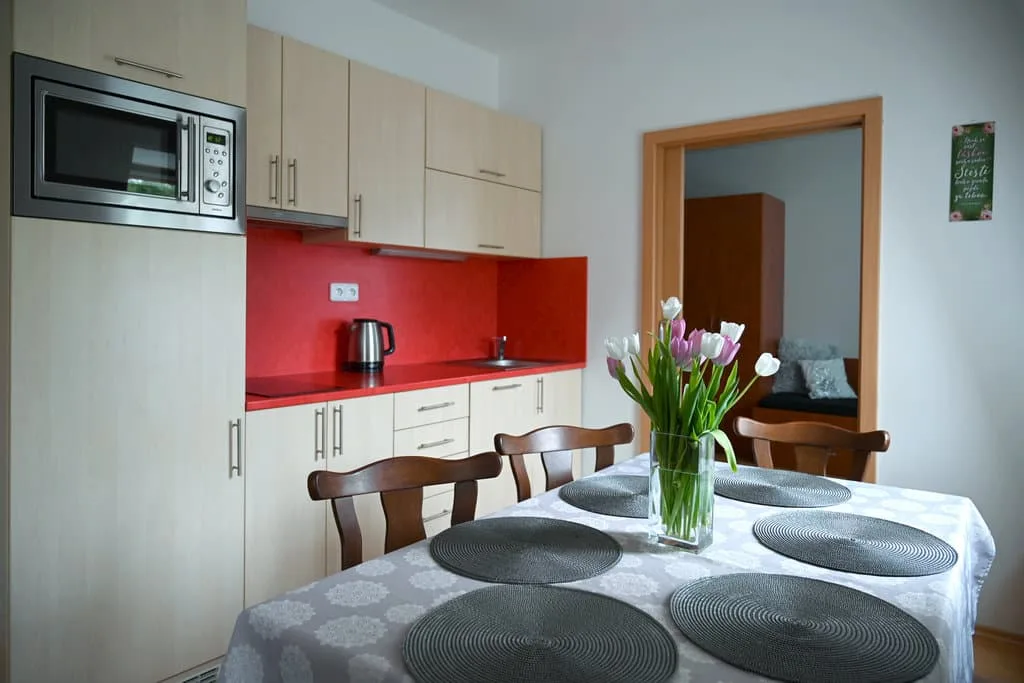 Apartmán pod Šerákem — 3. fénykép
