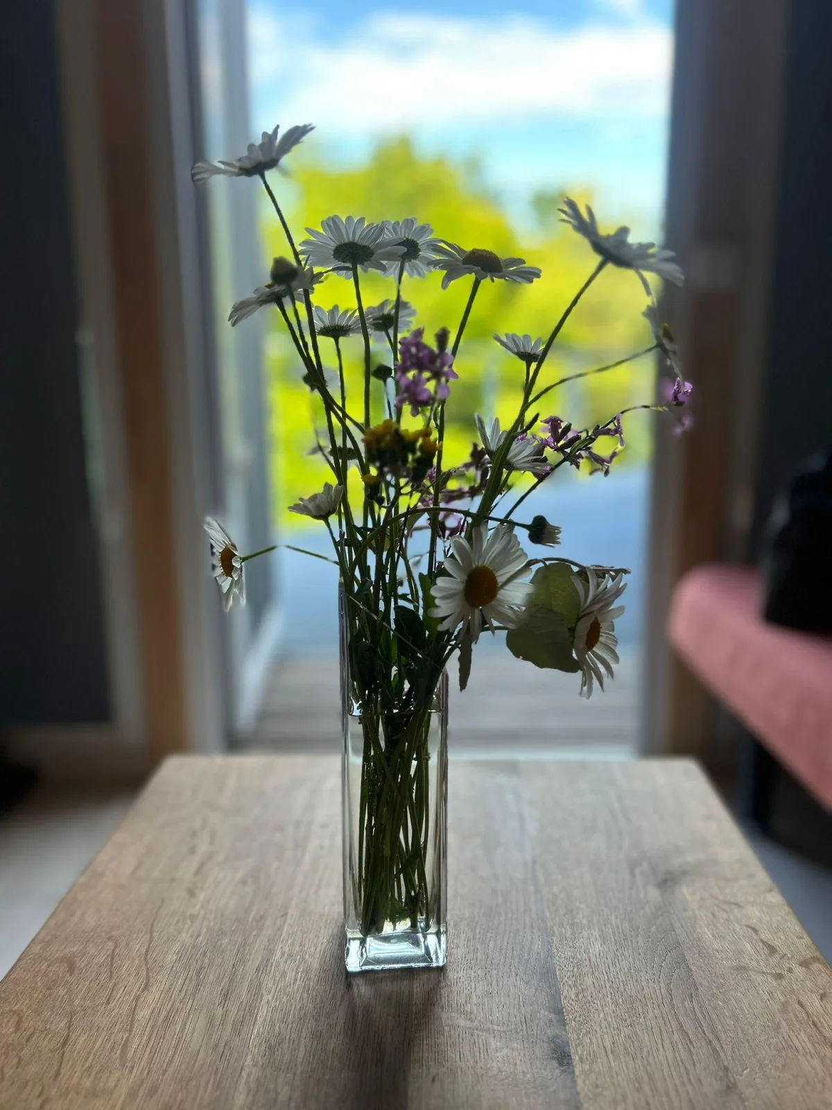 Tiny house Ječmínek — zdjęcie 6