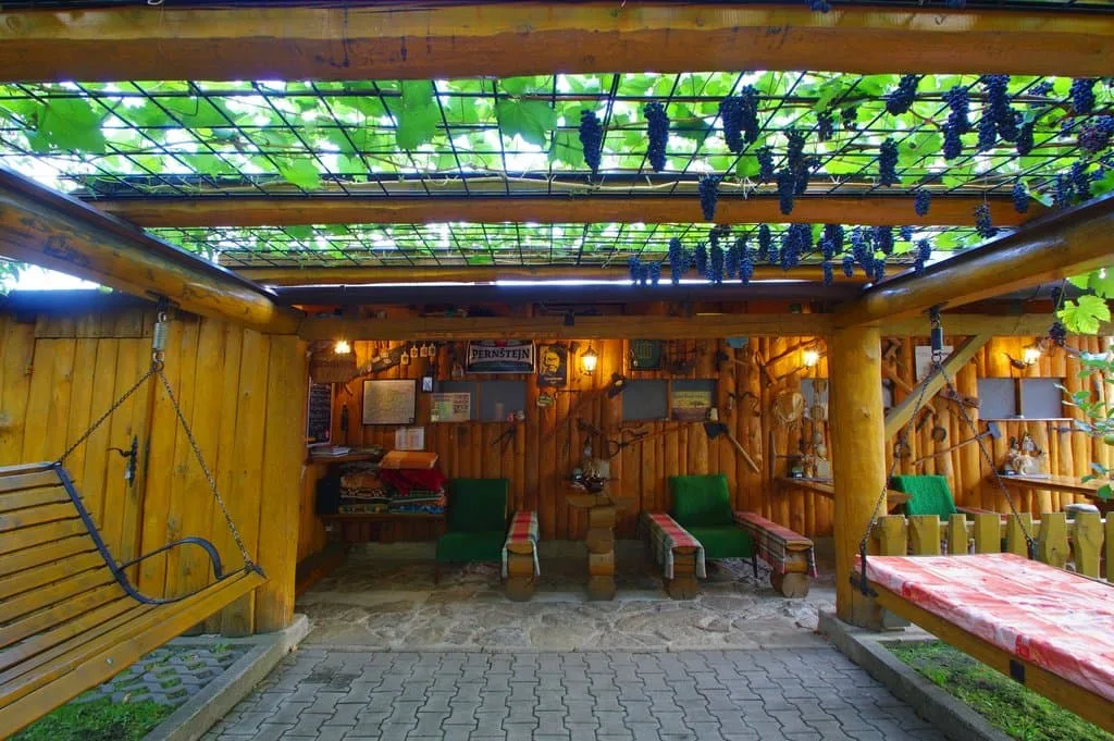 Yellow Paradise house — photo 2