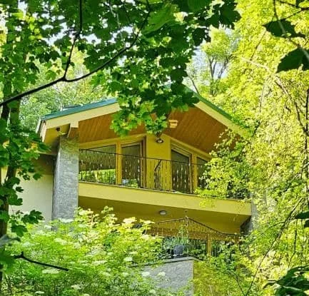 Chalet Robinson — photo 3