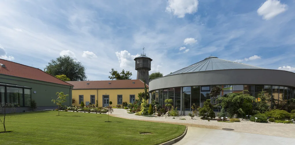Wellness & Relax Palárikovo — MAISON D’HÔTES à Palárikovo